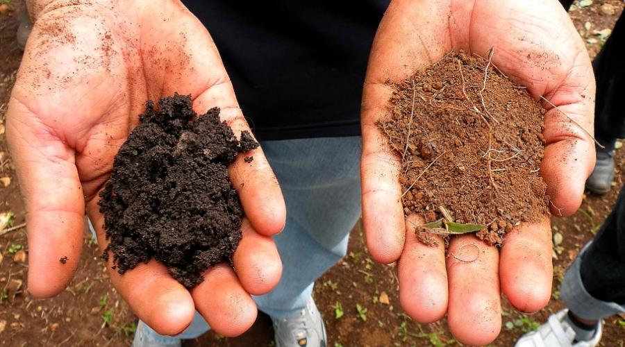 grondtype bepaalt doorlatendheid