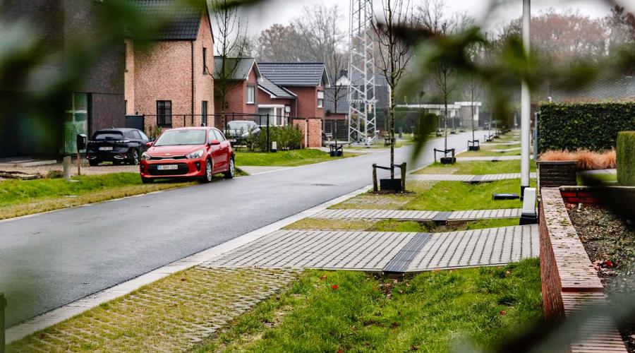 groenblauwe maatregelen in straat Heusden-Zolder