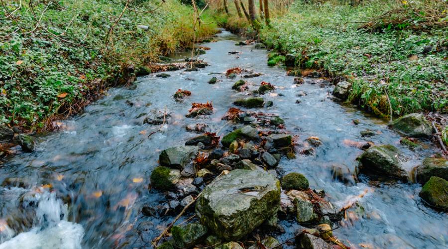 Molenbeek Korbeek_Lo